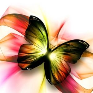 Meet your Posher, Lorie